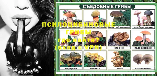 меф Ельня