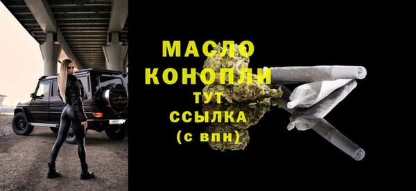 меф Ельня