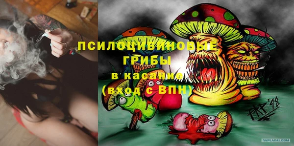 меф Ельня