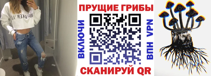 MEGA ТОР  продажа наркотиков  Игарка  Псилоцибиновые грибы Psilocybe 